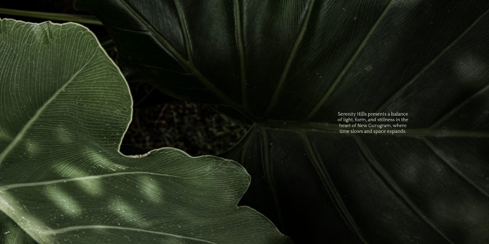 Emaar Luxury Residences Gurugram